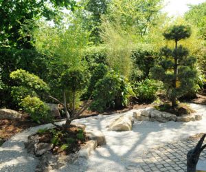 Gartengestaltung