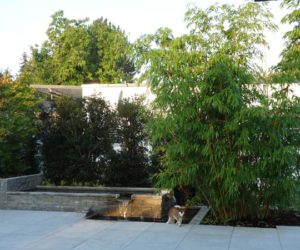 Gartengestaltung