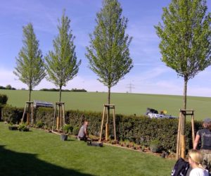 Gartengestaltung